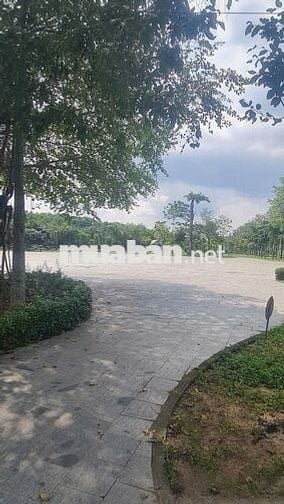 ĐẤT NỀN VIEW SÔNG THỊ TÍNH NGAY TRƯỜNG ĐẠI HỌC VIỆT ĐỨC