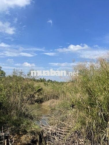 BÁN ĐẤT ĐẸP GẦN RẠCH PHƯỚC LONG – NHÀ BÈ