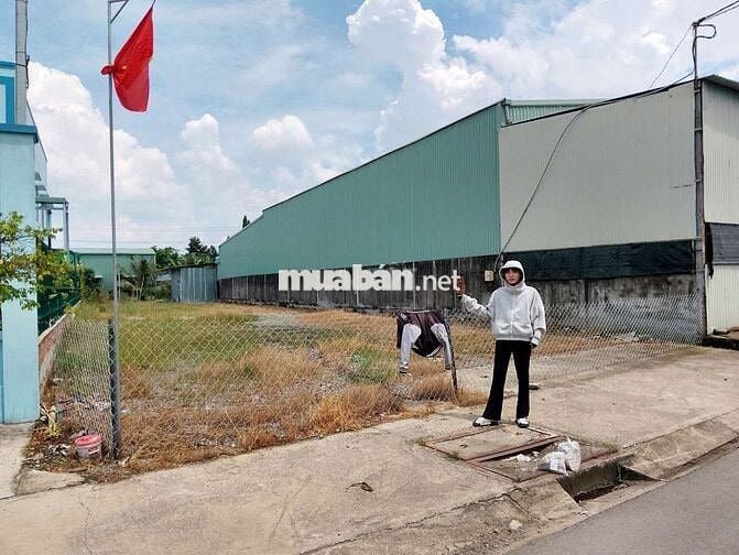 1,2 triệu / m² sổ sẵn công chứng nhanh bớt thêm