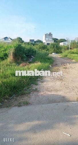 306m2 đất ở ổn định,xã Long Hải. Tp. HCM