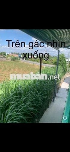 CHO THUÊ PHÒNG TRỌ GIÁ RẺ – CHỈ 1.000.000đ/PHÒNG  (ĐƯỜNG 879D)