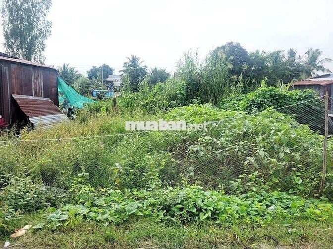 Bán gấp nền thổ cư giá 420tr gần chợ Vĩnh Lợi ngang9mxdai13m