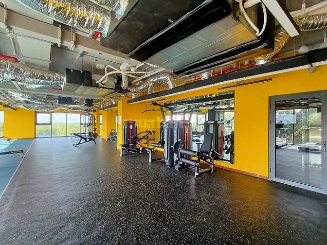 Căn hộ mới 100% cho thuê tại trung tâm TDM gần Củ Chỉ - Hóc Môn