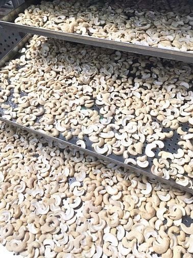 Hệ thống sấy nông sản bằng công nghệ hơi nước bão hoà.0986.192989