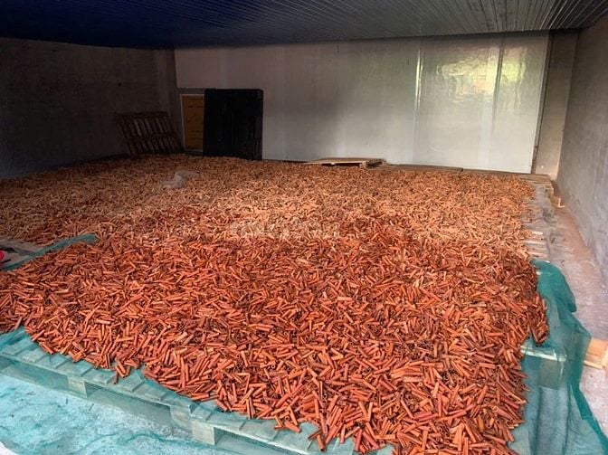 Hệ thống sấy nông sản bằng công nghệ hơi nước bão hoà.0986.192989