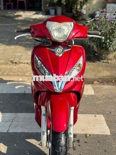 Shark ( Bs43 ) Rin êm sạch đẹp