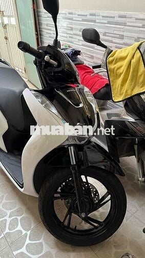 SH125 - CBS Head VietThaiQuan