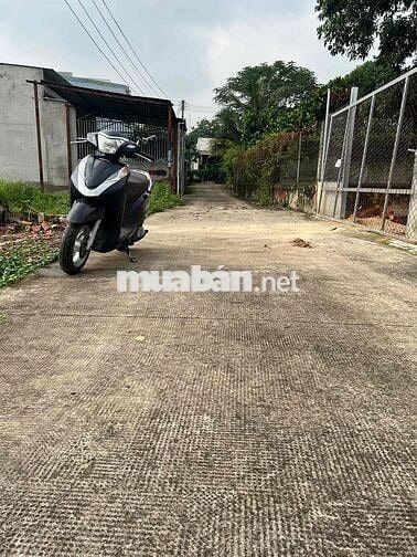 Bán nhà vườn nghỉ dưởng vui thoáng mát