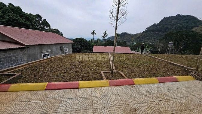 Chỉ hơn 700 triệu sở hữu lô đất giáp dự án nghỉ dưỡng siêu đẹp tại Sak