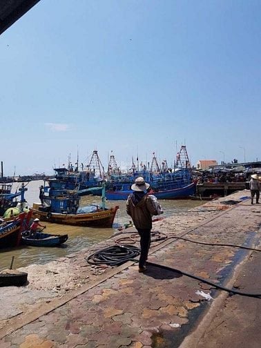 Đất thổ vườn ven biển La Gi giá tốt, 1tỷ6/1000m2, vị trí đắc địa, SHR