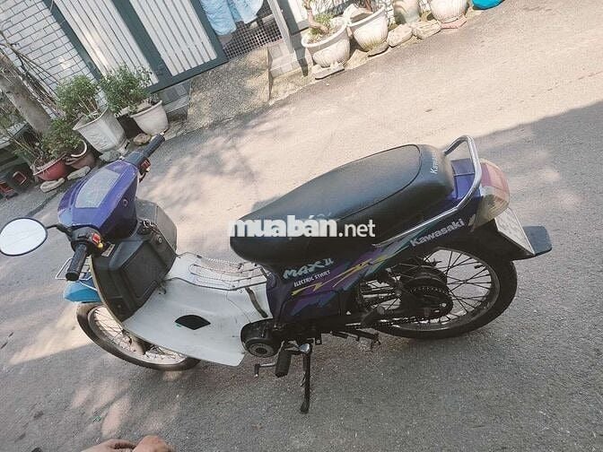 Kawasaki MAX II Tím Trắng