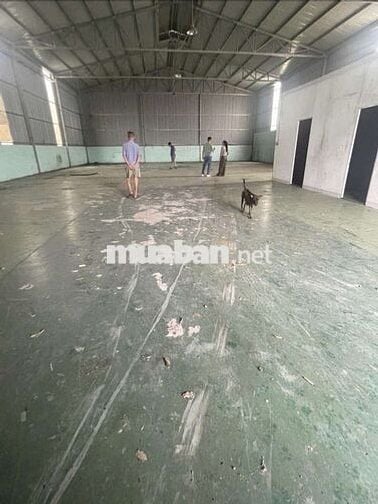 CHO THUÊ KHO,XƯỞNG 330M² GIÁ 20TR/T, HẺM 6m LÊ TRỌNG TẤN