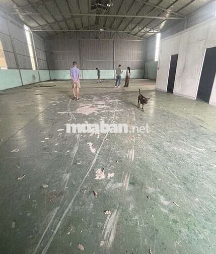 CHO THUÊ KHO,XƯỞNG 330M² GIÁ 20TR/T, HẺM 6m LÊ TRỌNG TẤN