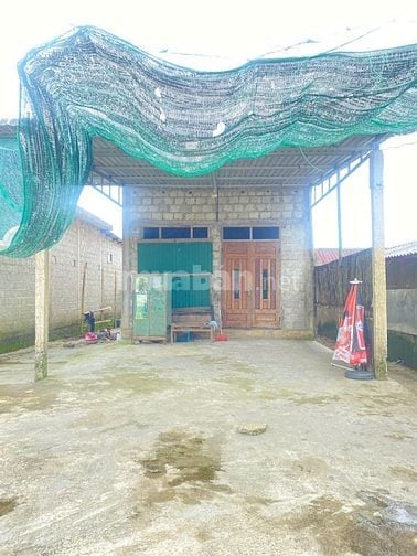 🏡 BÁN NHÀ MẶT TIỀN ĐƯỜNG HỒ CHÍ MINH – A LƯỚI, TP HUẾ