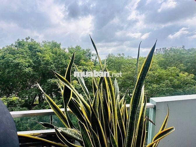 CĂN HỘ 2PN EMERALD LOẠI LỚN CÓ KHO | KẾ BÊN AEON TÂN PHÚ