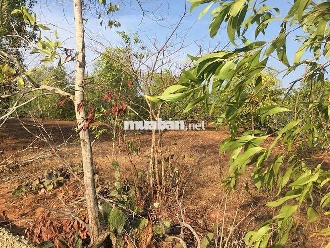 Chính chủ bán lô đất cách đường 715 chỉ 500m, Thiện Nghiệp – Mũi Né