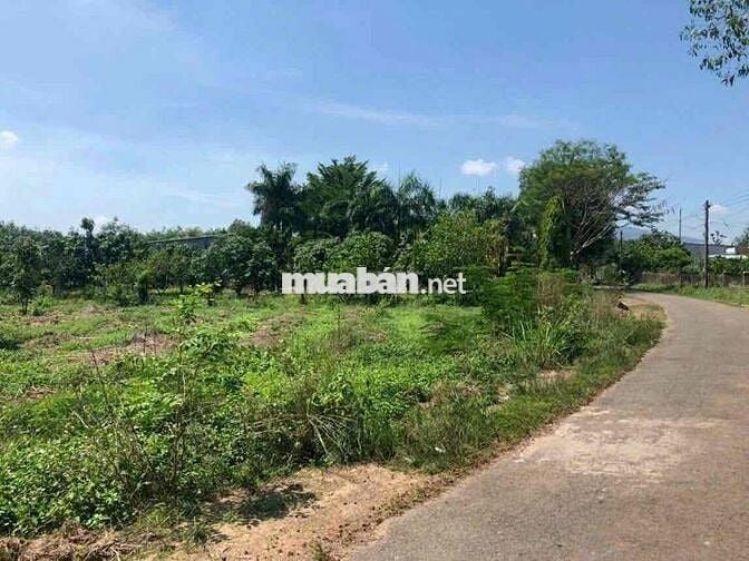 Bán lô đất mặt tiền đường suối cao 2ha7, giá 400tr/ sào