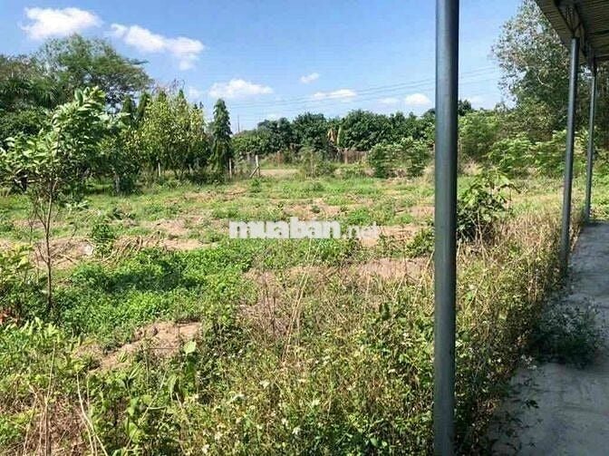 Bán lô đất mặt tiền đường suối cao 2ha7, giá 400tr/ sào