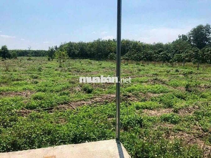 Bán lô đất mặt tiền đường suối cao 2ha7, giá 400tr/ sào