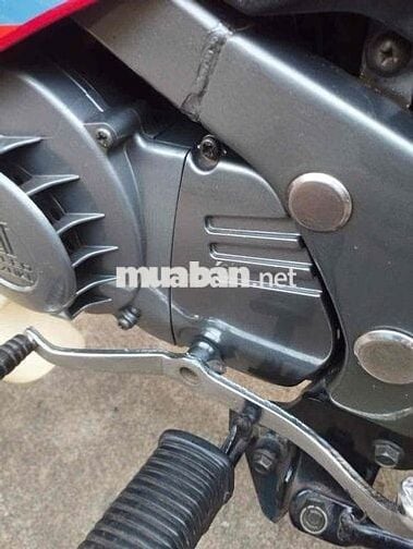 Xipo 2000 đầu 42 xe cọp