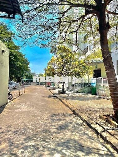 Chung Cư Nhất Lan 3 Ngay Chợ Bà Hom Bình Tân 62m2. 2pn 1wc SHR 1,9 tỷ.