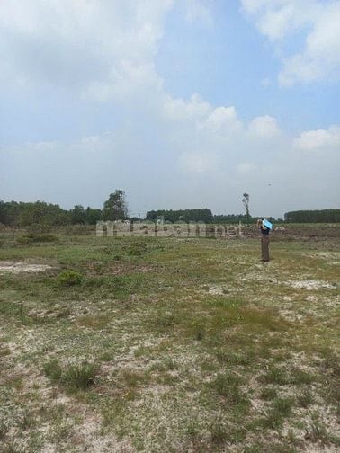 CTY ĐẤU GIÁ HỢP DANH TRỰC TUYẾN VIỆT NAM (VNOA) TỔ CHỨC ĐẤU GIÁ