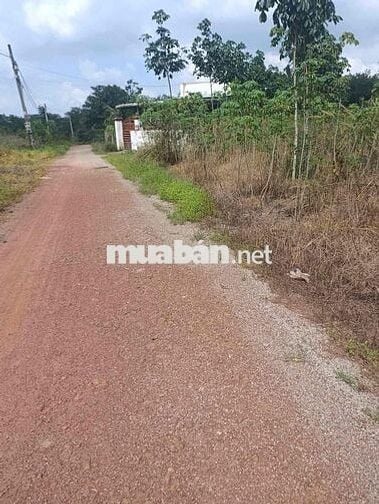 Đất thị trấn tân phú đã phủ hồng giá rẻ