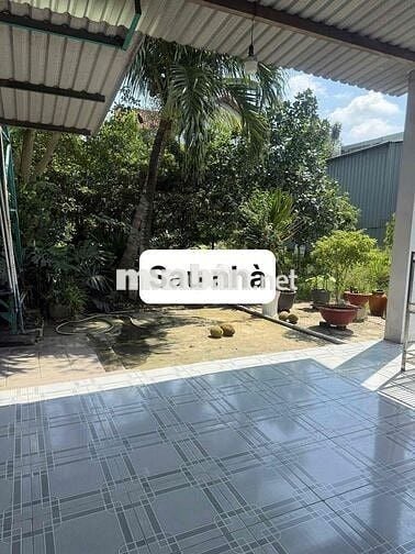 Cho thuê nhà vườn 560m2 gần trung tâm y tế Dĩ An