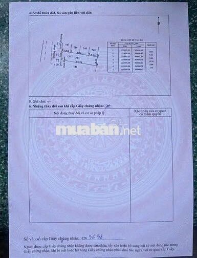 🔥 Nhà mới hoàn thiện 1/ Tỉnh Lộ 7 – 98m² thổ cư, chỉ 2 tỷ 100 TL