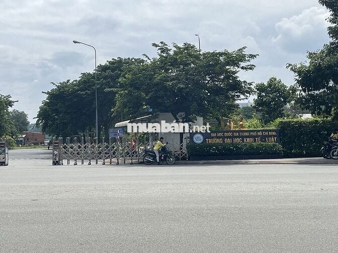 BÁN GẤP 142m2 (5,5x26) ĐẤT FULL THỔ, HẺM 6m ĐƯỜNG 11 P. LINH XUÂN