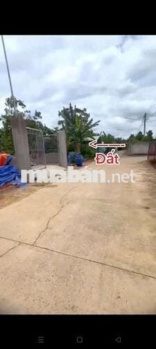 BÁN LÔ ĐẤT 7X25,5 THỔ CƯ 70M2 ĐƯONG XE HƠI ĐUONG HỒ THIỆN NHÂN XÂY TD