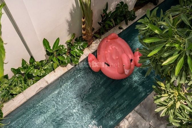 Villa 4 Phòng Ngủ Có Hồ Bơi Sân Vườn Siêu Rộng Đầy Đủ Tiện Nghi