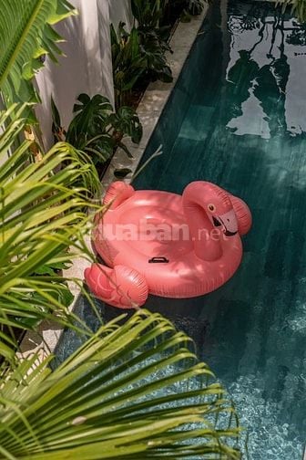 Villa 4 Phòng Ngủ Có Hồ Bơi Sân Vườn Siêu Rộng Đầy Đủ Tiện Nghi