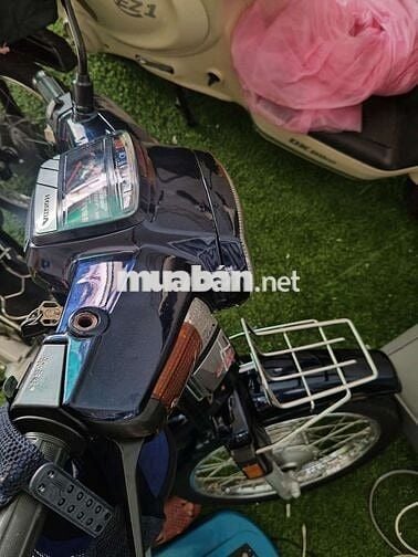 Cần Bán dream thái