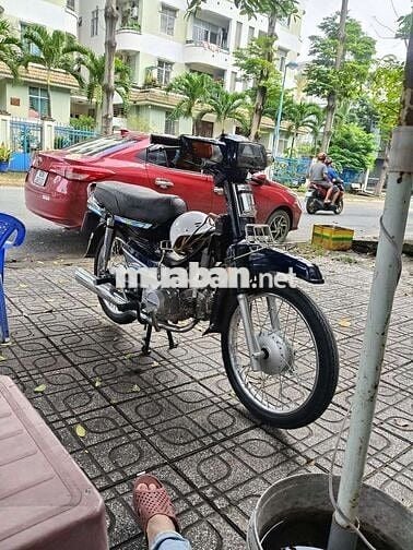 Cần Bán dream thái