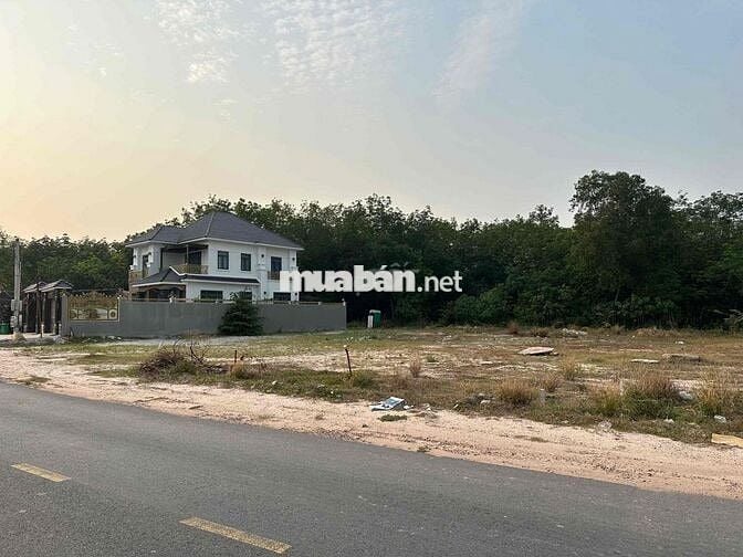 Đất mặt tiền Đ. Trần Đại Nghĩa, Hoà Lợi, BD, dt 177m2,mọi loại hình KD