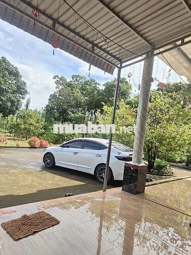 2016 1.6 MT - 350000 km