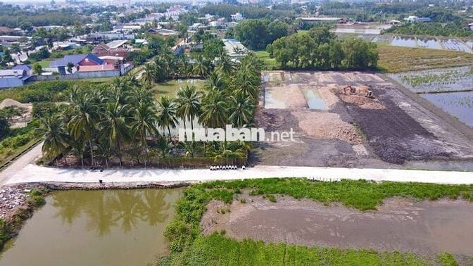 Chính chủ gửi bán 1500m² đất thổ vườn tại Gò Dầu –  Giá chỉ 1,3 tỷ!