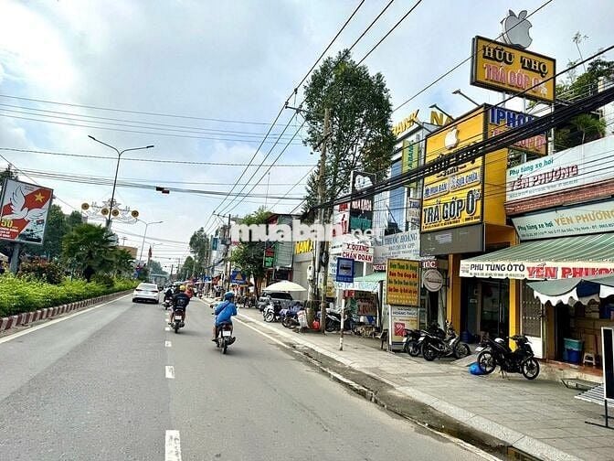 Chính chủ gửi bán 1500m² đất thổ vườn tại Gò Dầu –  Giá chỉ 1,3 tỷ!