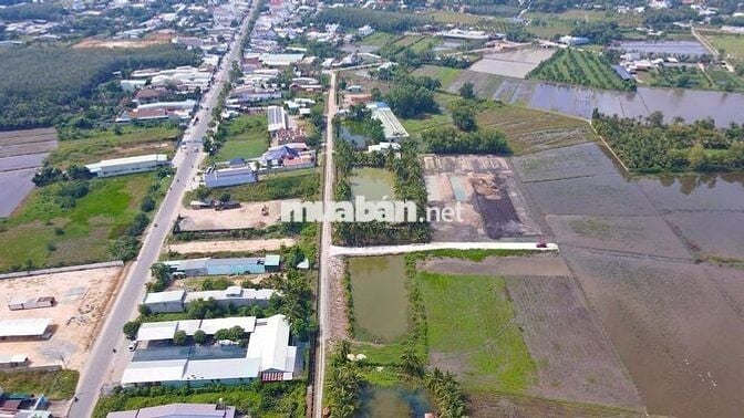 Chính chủ gửi bán 1500m² đất thổ vườn tại Gò Dầu –  Giá chỉ 1,3 tỷ!