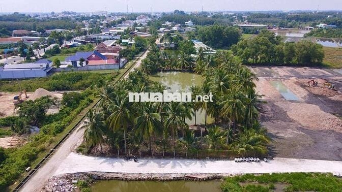 Chính chủ gửi bán 1500m² đất thổ vườn tại Gò Dầu –  Giá chỉ 1,3 tỷ!