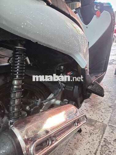 Honda SH màu Trắng