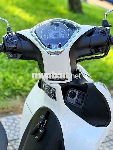 Sh mode 11.2024 nguyên rin 100%