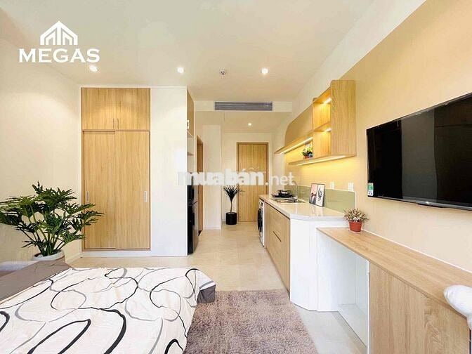 Cho Thuê Căn Hộ Chung Cư Mini Ban Công Ngay Vòng Xoay Cống Quỳnh Q1