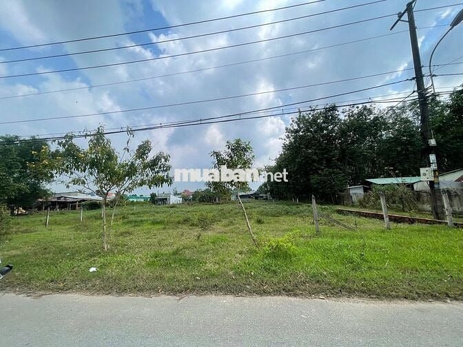 BÁN ĐẤT THỔ CƯ NGAY TỈNH LỘ 7 - GẦN TRƯỜNG TIỂU HỌC THÁI MỸ  - SHR