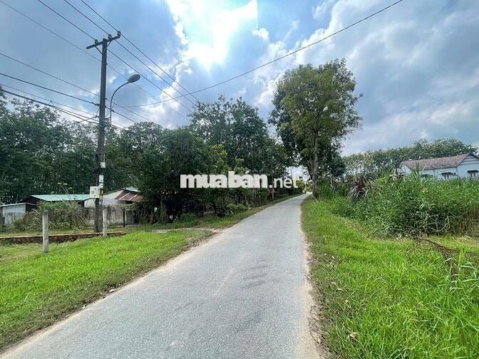 BÁN ĐẤT THỔ CƯ NGAY TỈNH LỘ 7 - GẦN TRƯỜNG TIỂU HỌC THÁI MỸ  - SHR