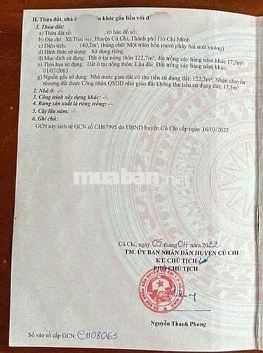 BÁN ĐẤT THỔ CƯ NGAY TỈNH LỘ 7 - GẦN TRƯỜNG TIỂU HỌC THÁI MỸ  - SHR