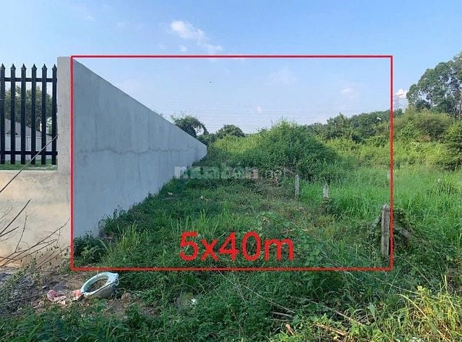 Giảm 500tr, BÁN ĐẤT ĐƯỜNG NHUẬN ĐỨC, 5X40, THỔ CƯ 100%, CỦ CHI, 2.5 TỶ