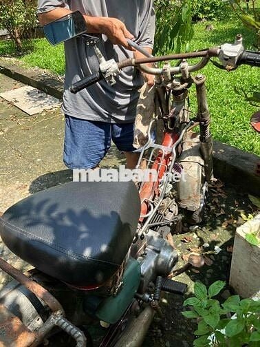 MD 50 đầu dream 100cc