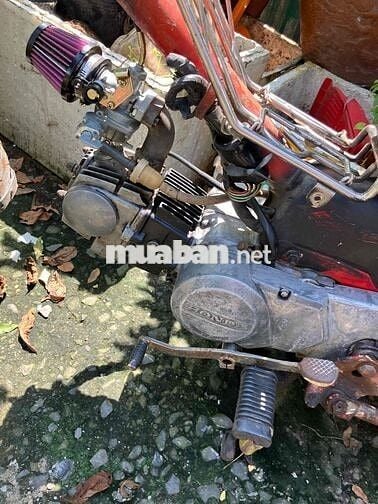 MD 50 đầu dream 100cc